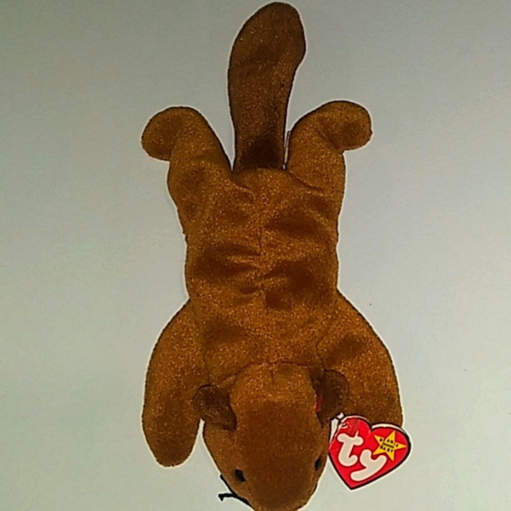 1995 ty Beanie Baby "Bucky" with pvc pellets